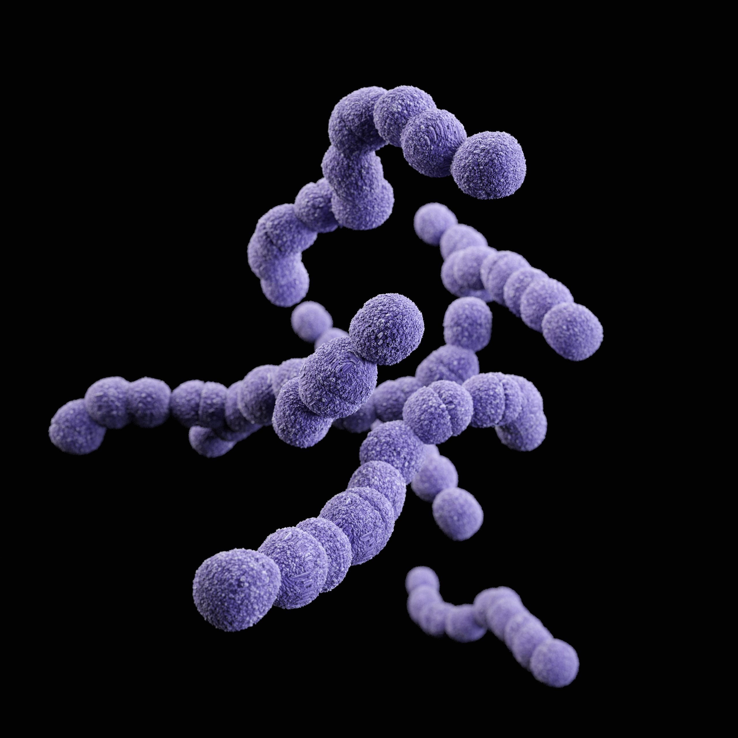 The Dangers of Listeria Outbreaks: Symptoms, Prevention, and Treatment