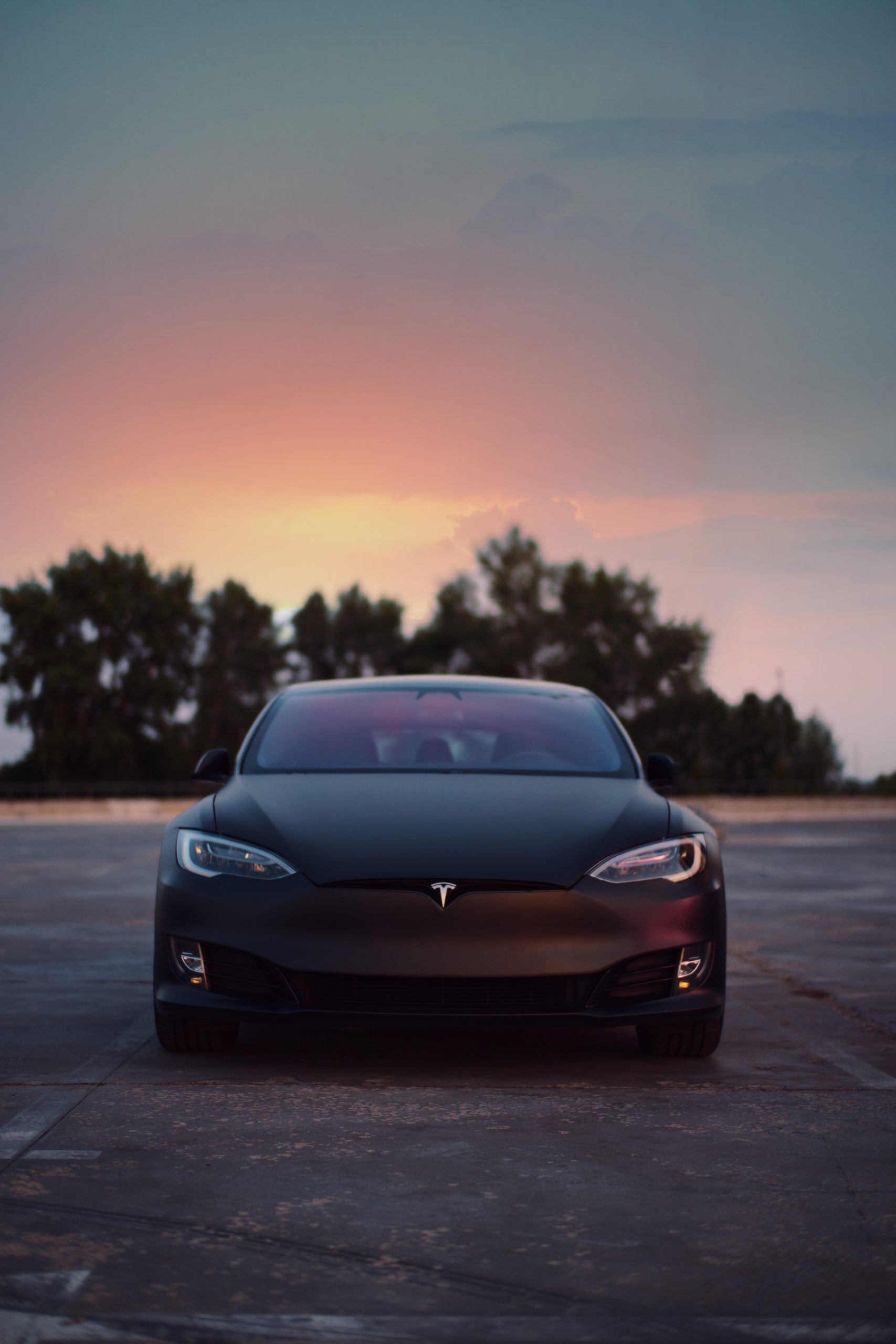 Northern Mexico Welcomes Tesla with Open Arms