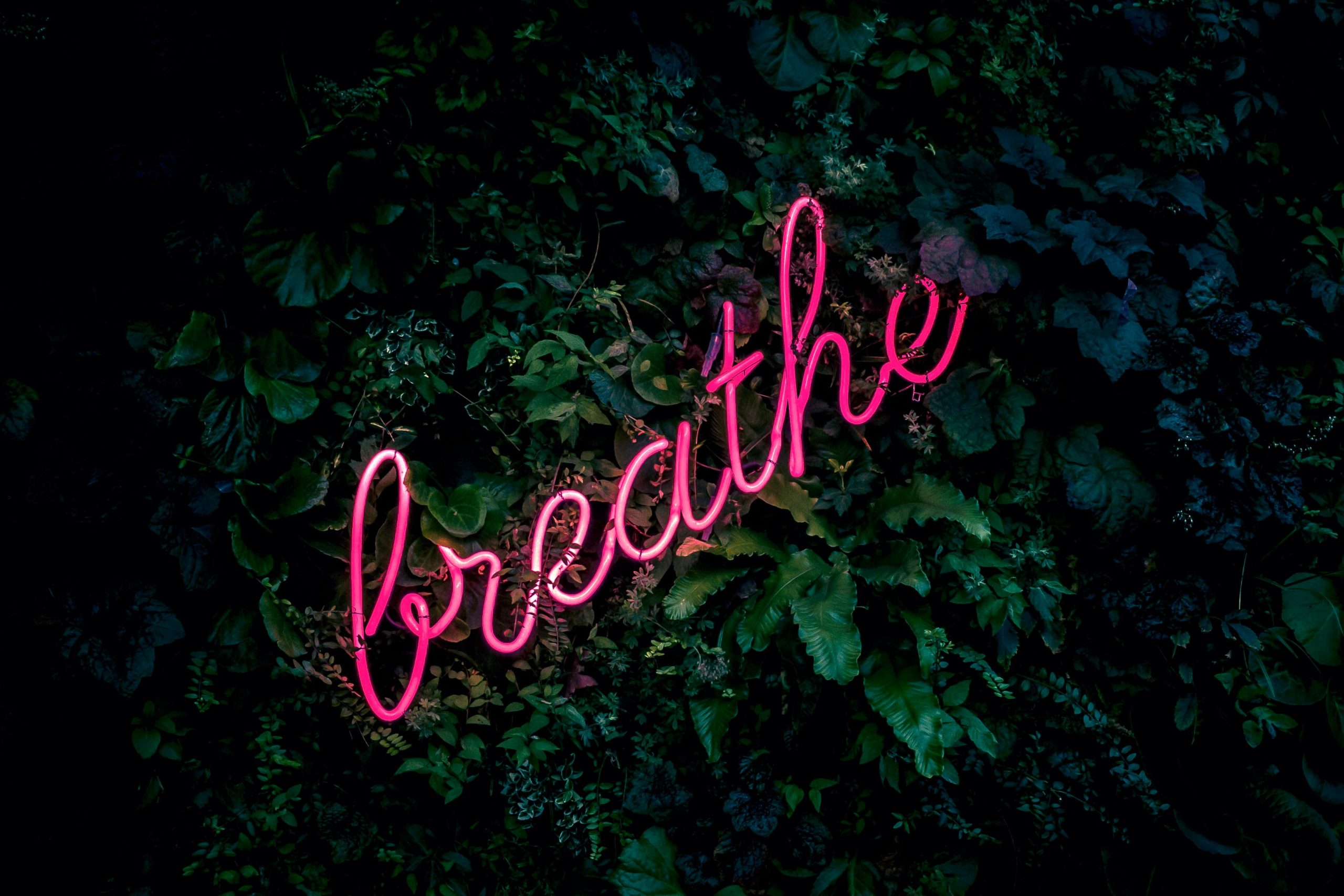 Breath Work 101: A Beginner’s Guide to This Powerful Practice