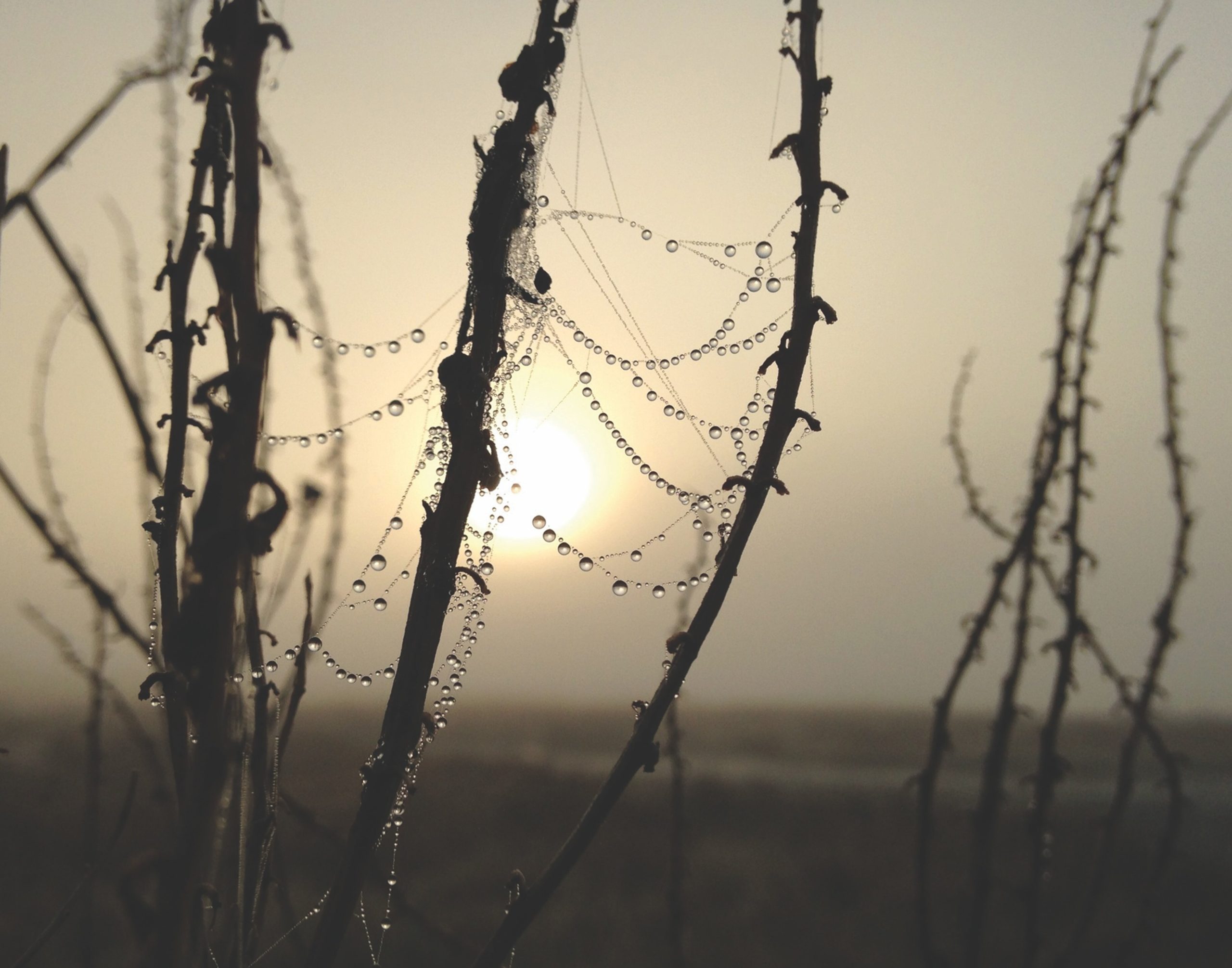 Nature Therapy: How Spending Time Outdoors Can Reduce Your Stress Levels