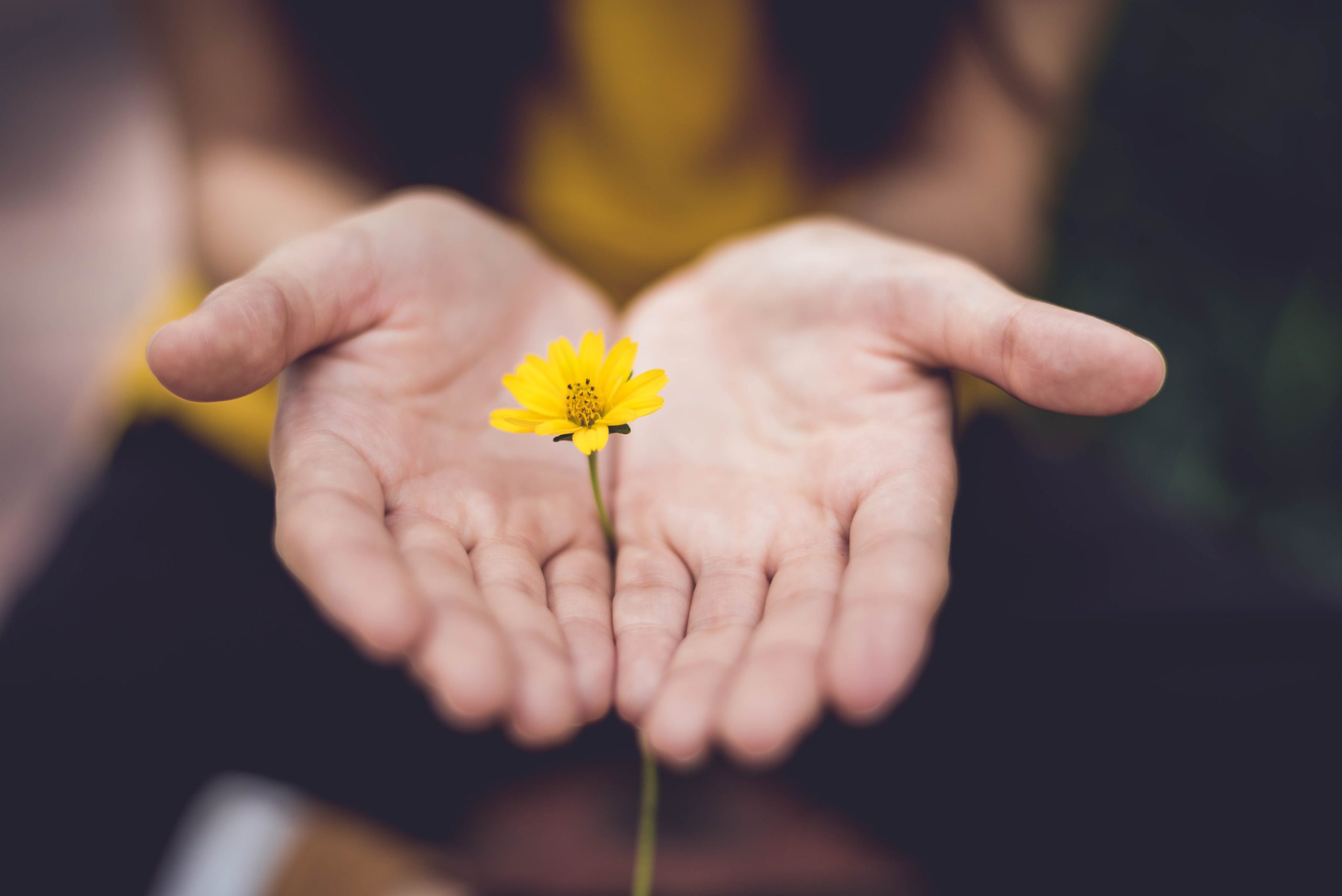 The Power of Mindfulness: How It Can Boost Your Fitness and Wellness Journey