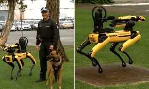 Robotic Dogs Join Police Force