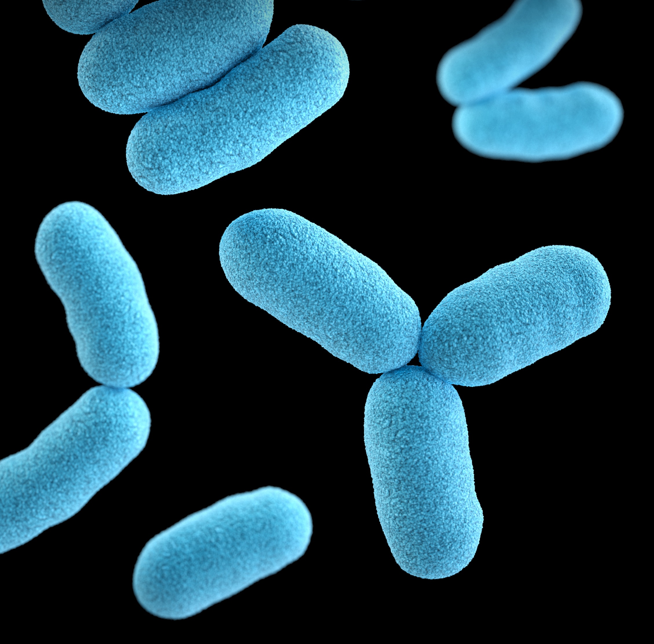 Lethal Listeria: Understanding Outbreaks and What You Need to Know