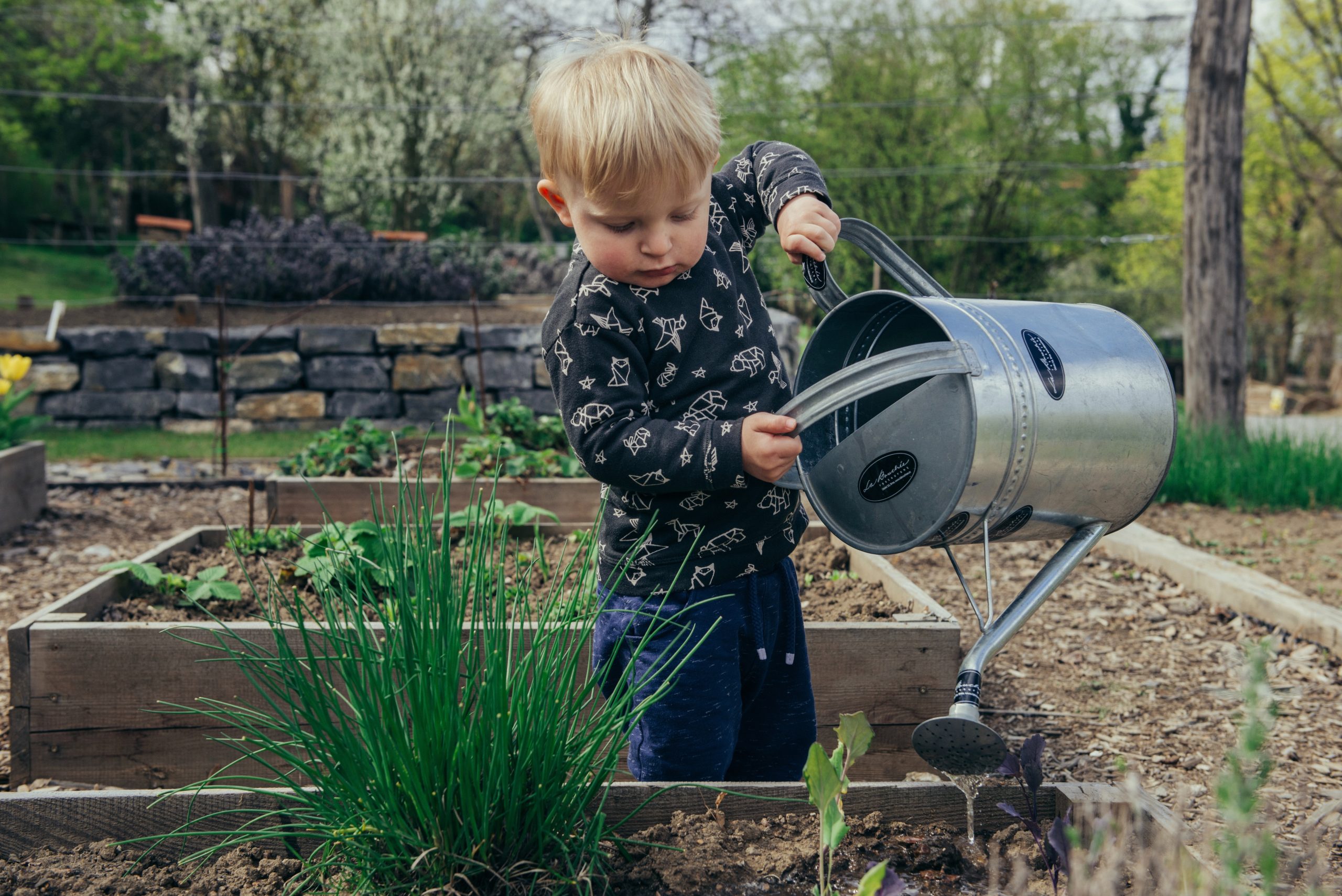 Making Memories and Growing Good Habits: Why Family Gardening is a Win-Win for Everyone