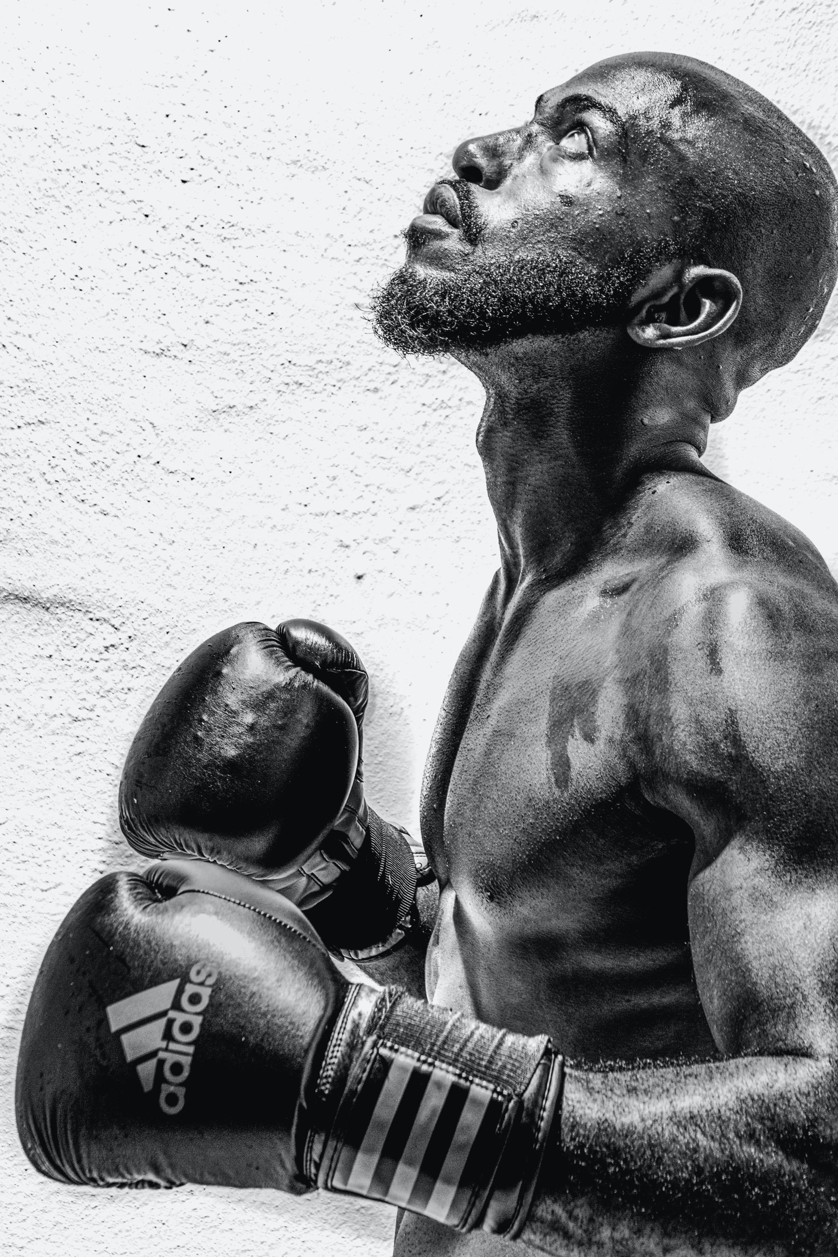 Boxing Your Way to Fitness: The Ultimate Workout Craze