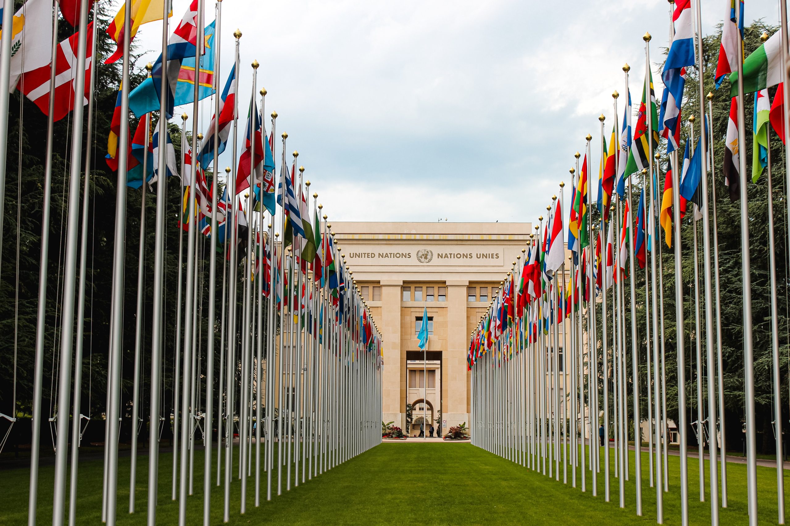 The Role of the United Nations in Global Politics