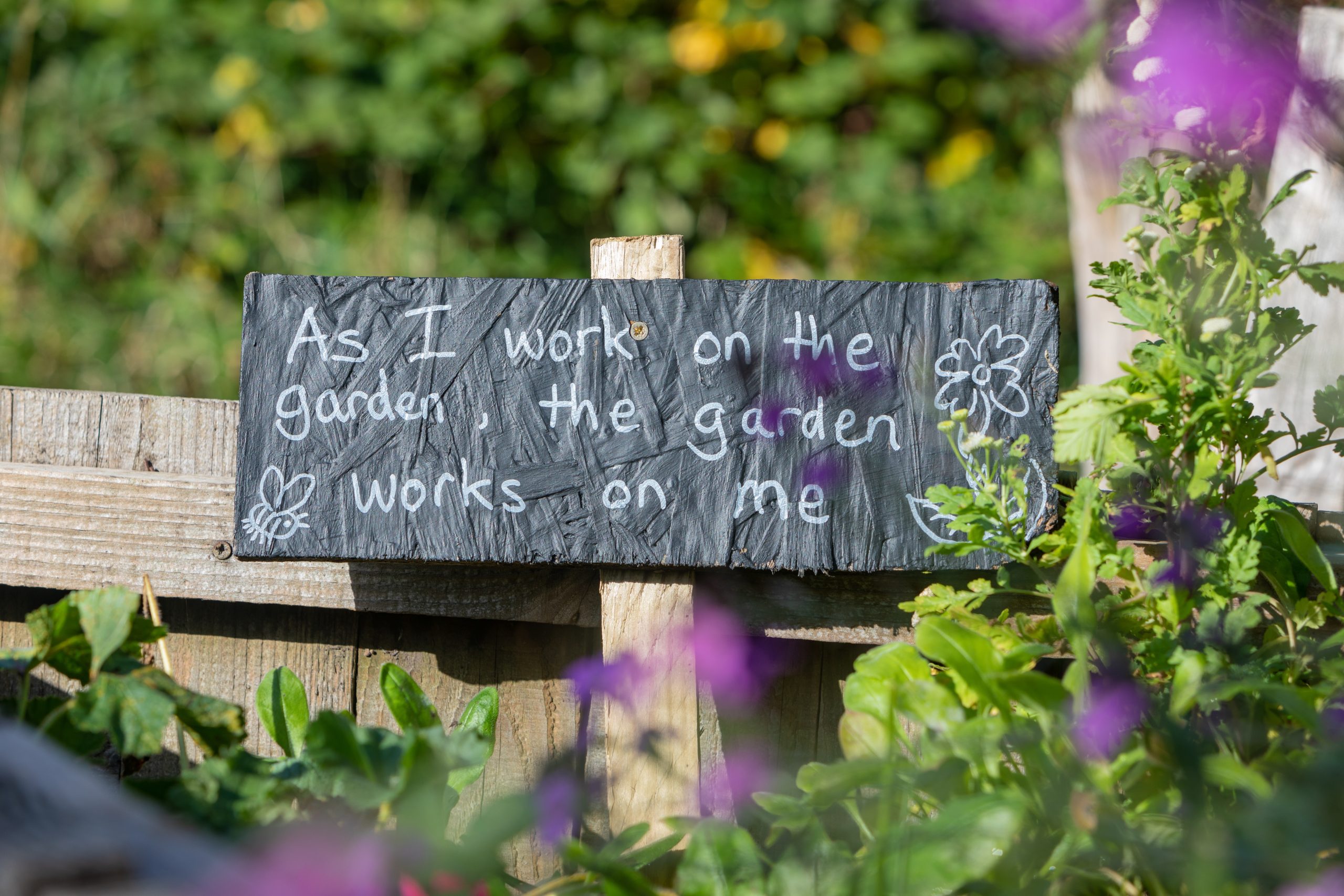 Gardening as a Form of Self-Care for Better Mental Health