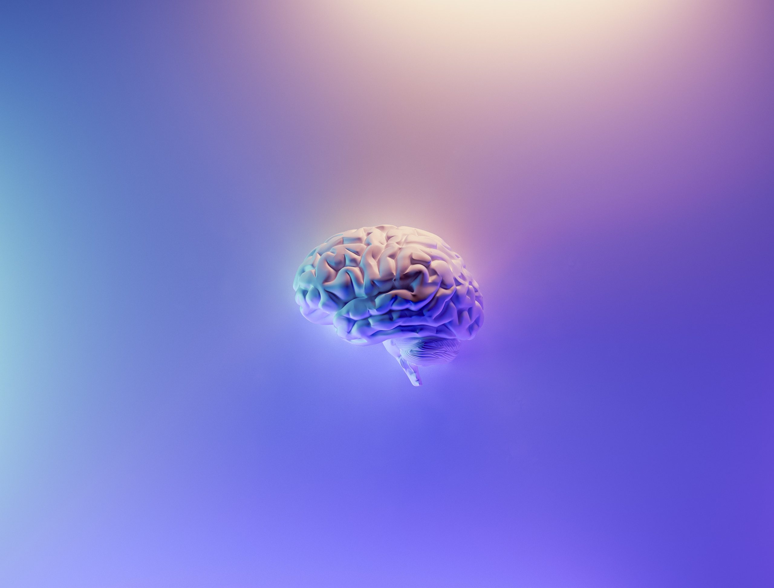 Inside the Brain: Investigating the Science of Consciousness