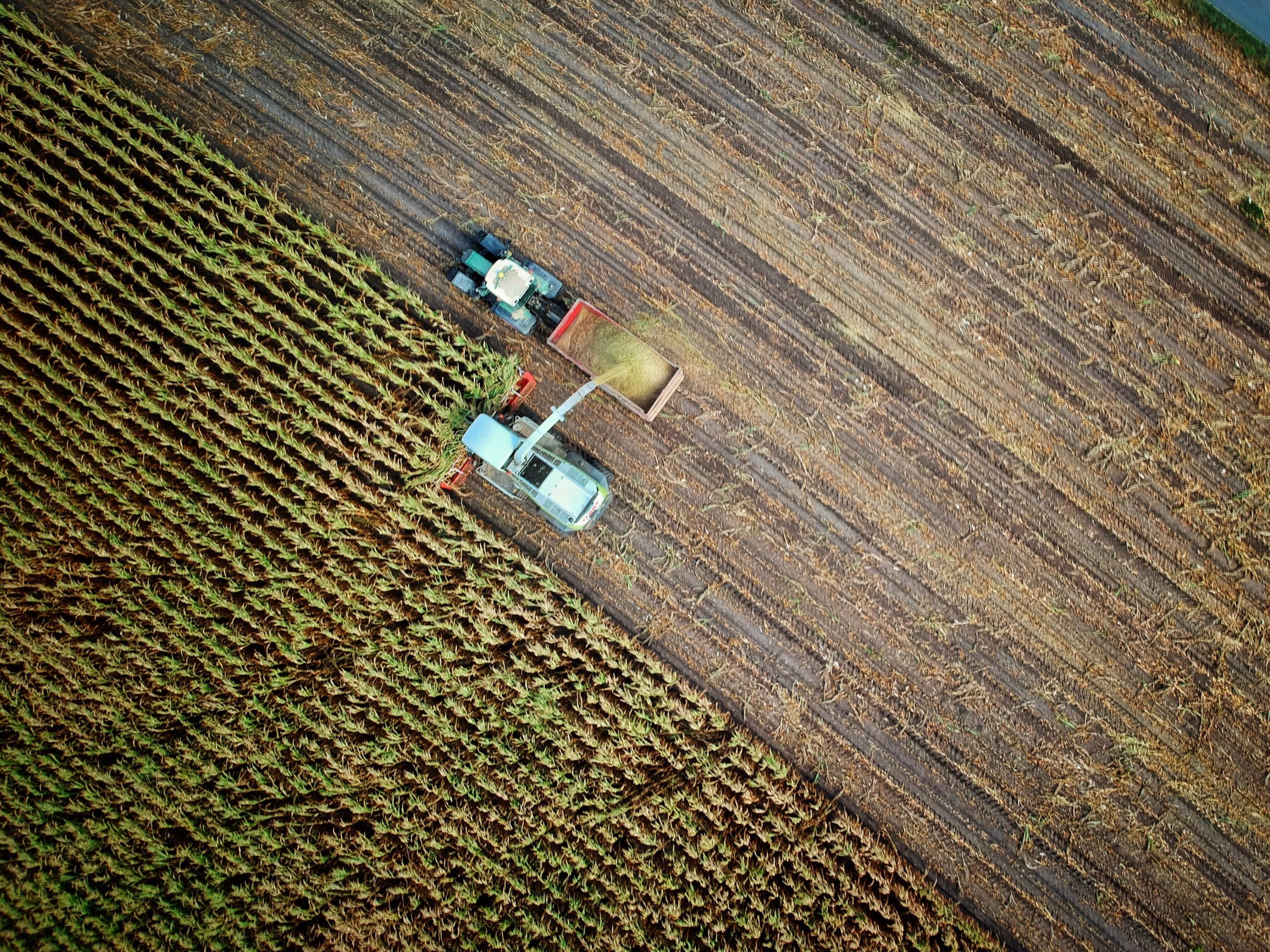 From Soil Mapping to Drone Technology: The Power of Precision Agriculture