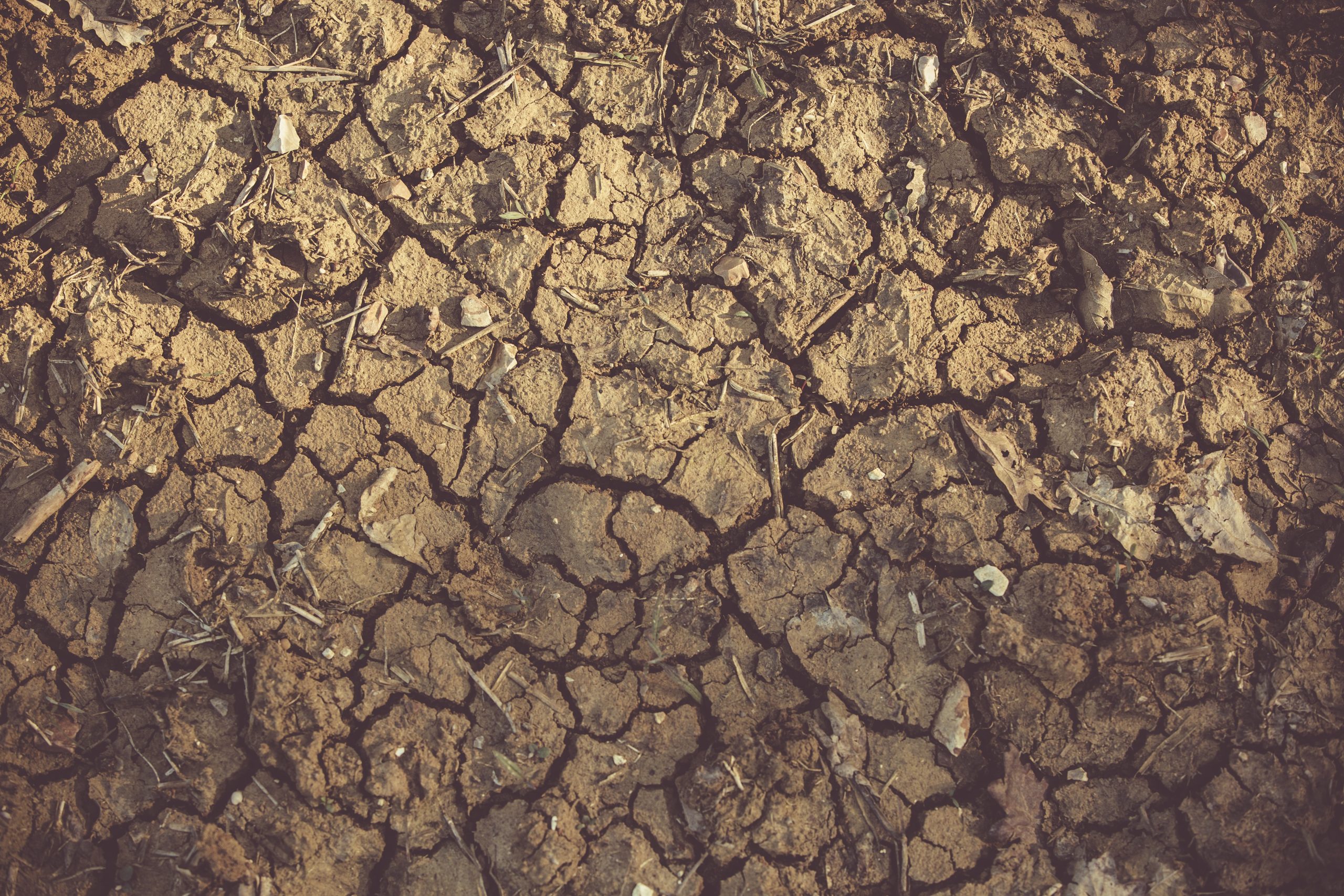 New Research Confirms Link Between Rising Temperatures and More Frequent Droughts