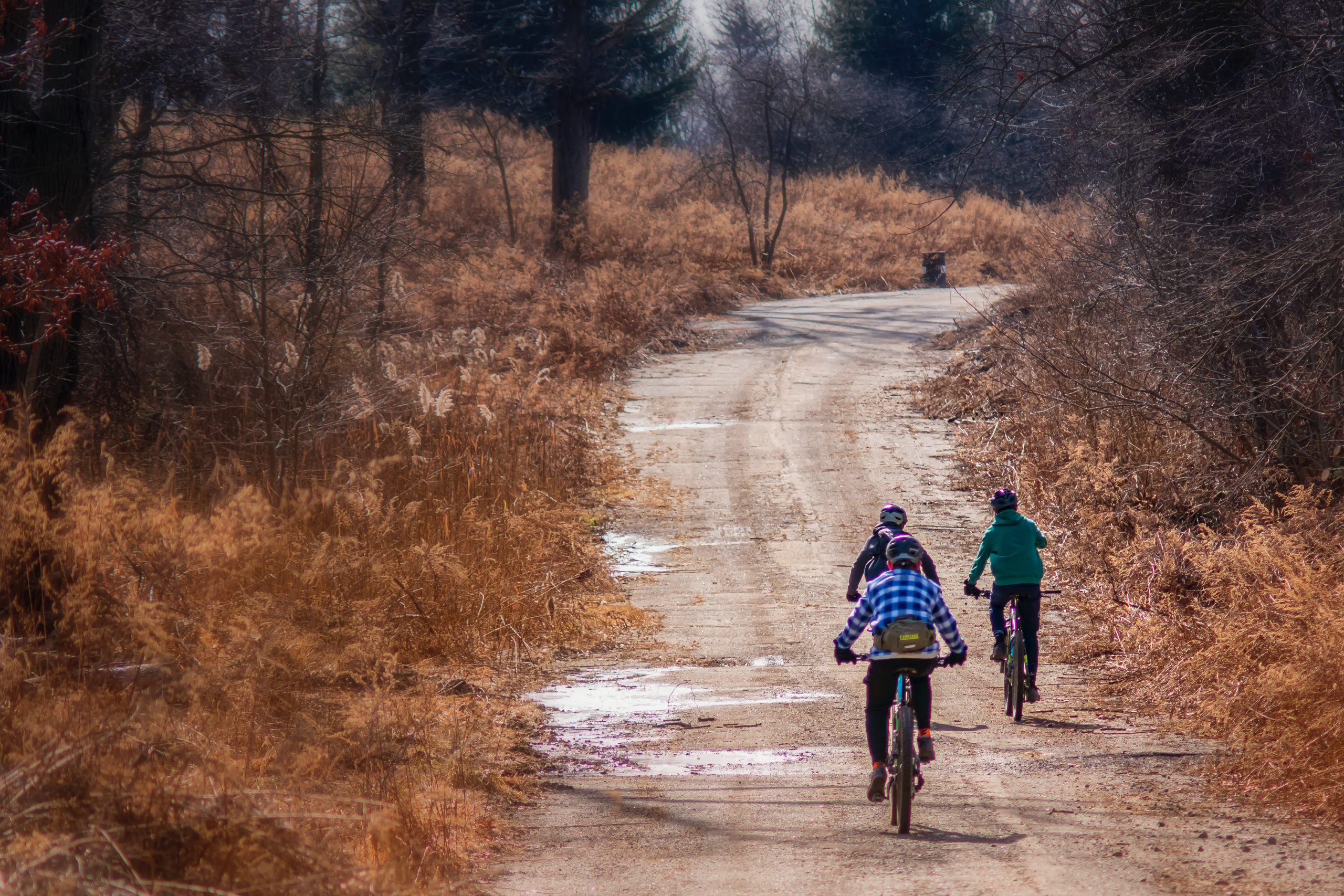 “Sweating Away Stress: How Exercise Improves Mental Health in Teens”.