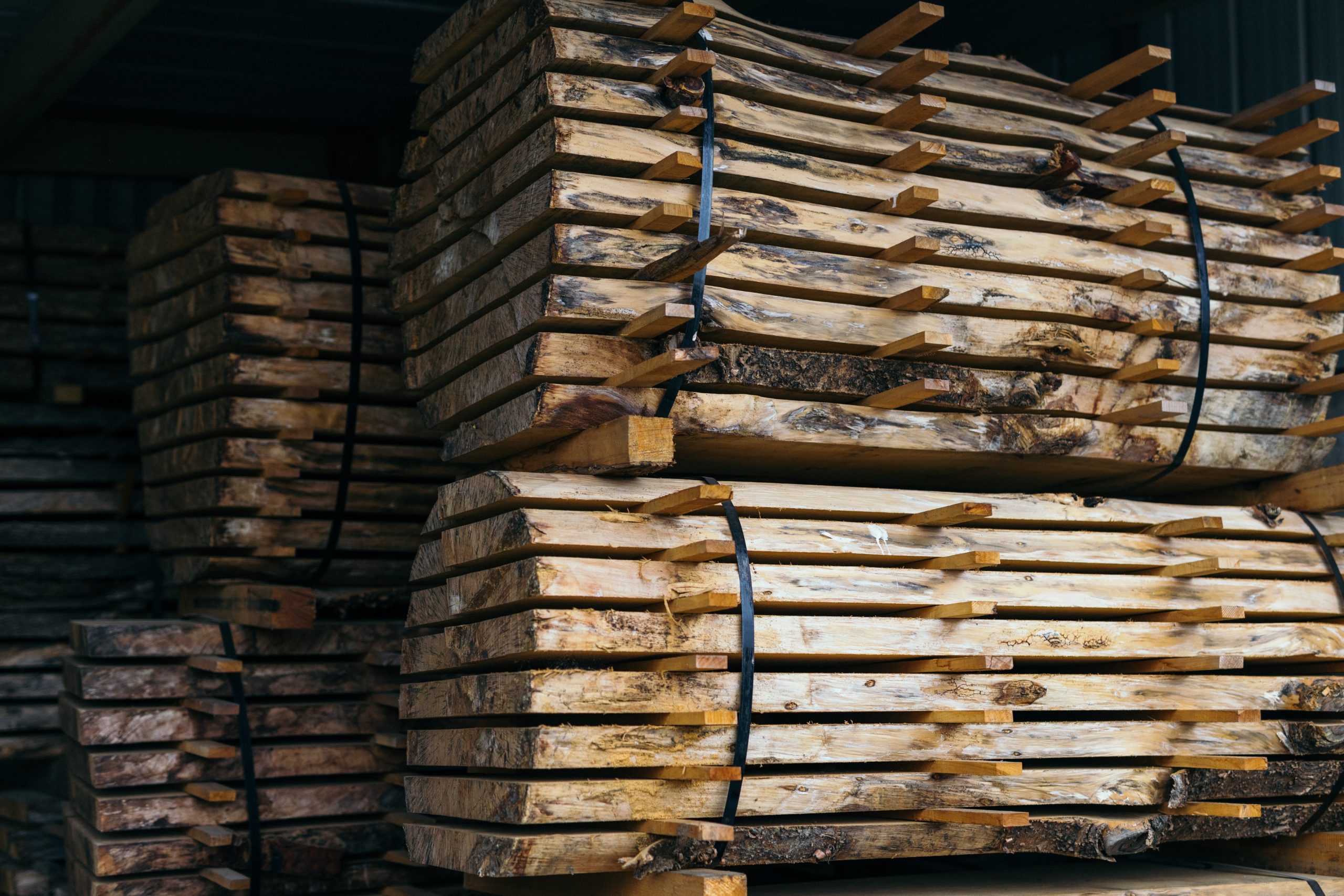 Green Harvesting: The Intersection of Sustainability and Timber Production