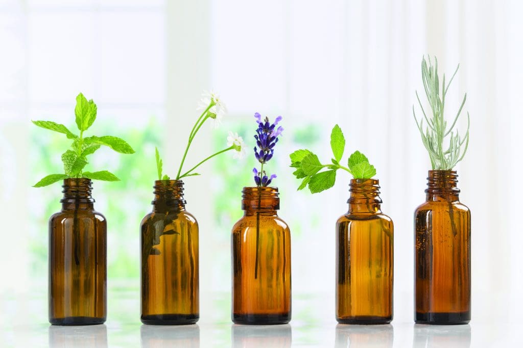Natural Pain Relief: Beginner’s Guide to Essential Oils