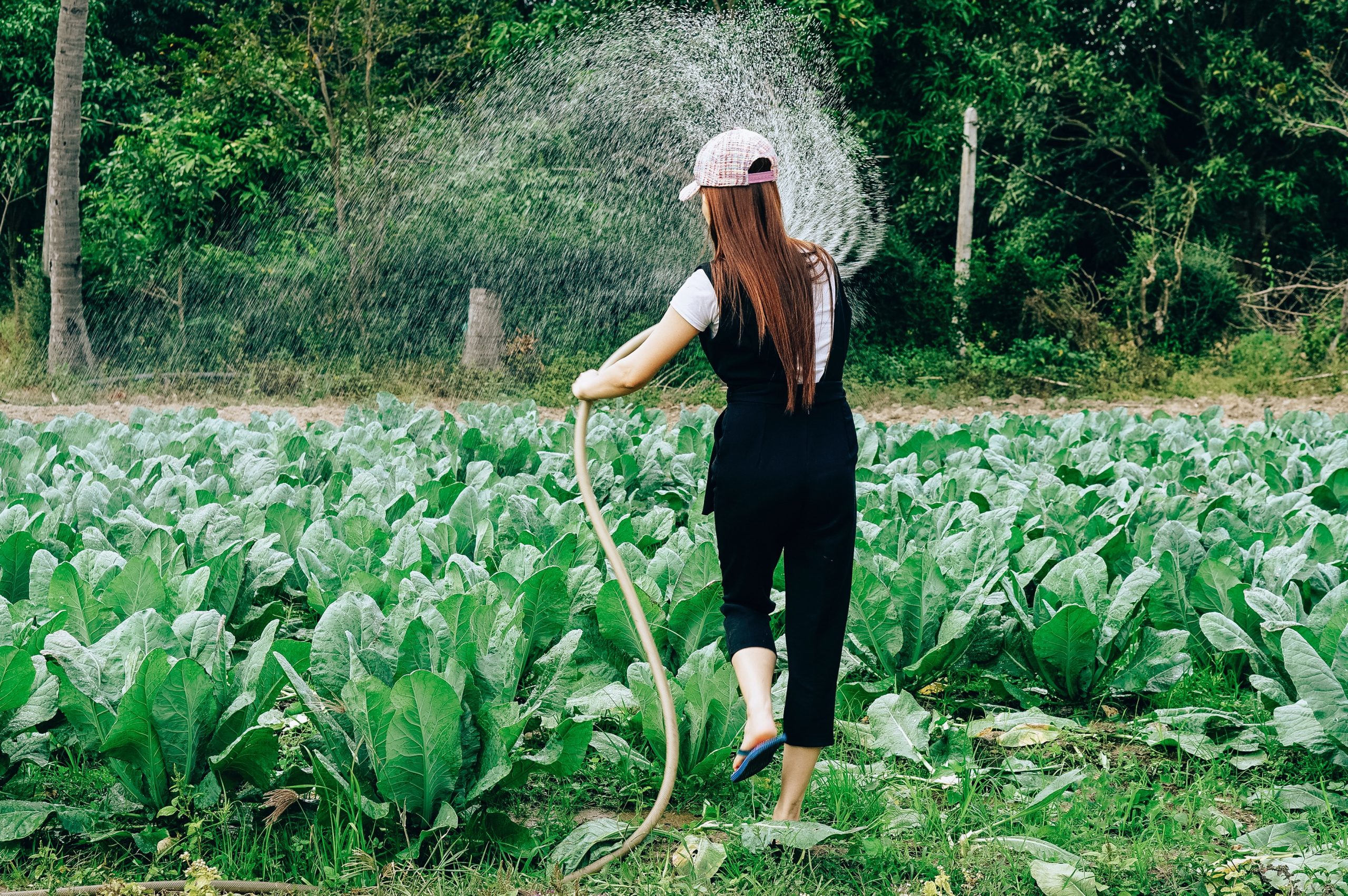 Farming for the Future: The Intersection of Technology and Science in Water Management