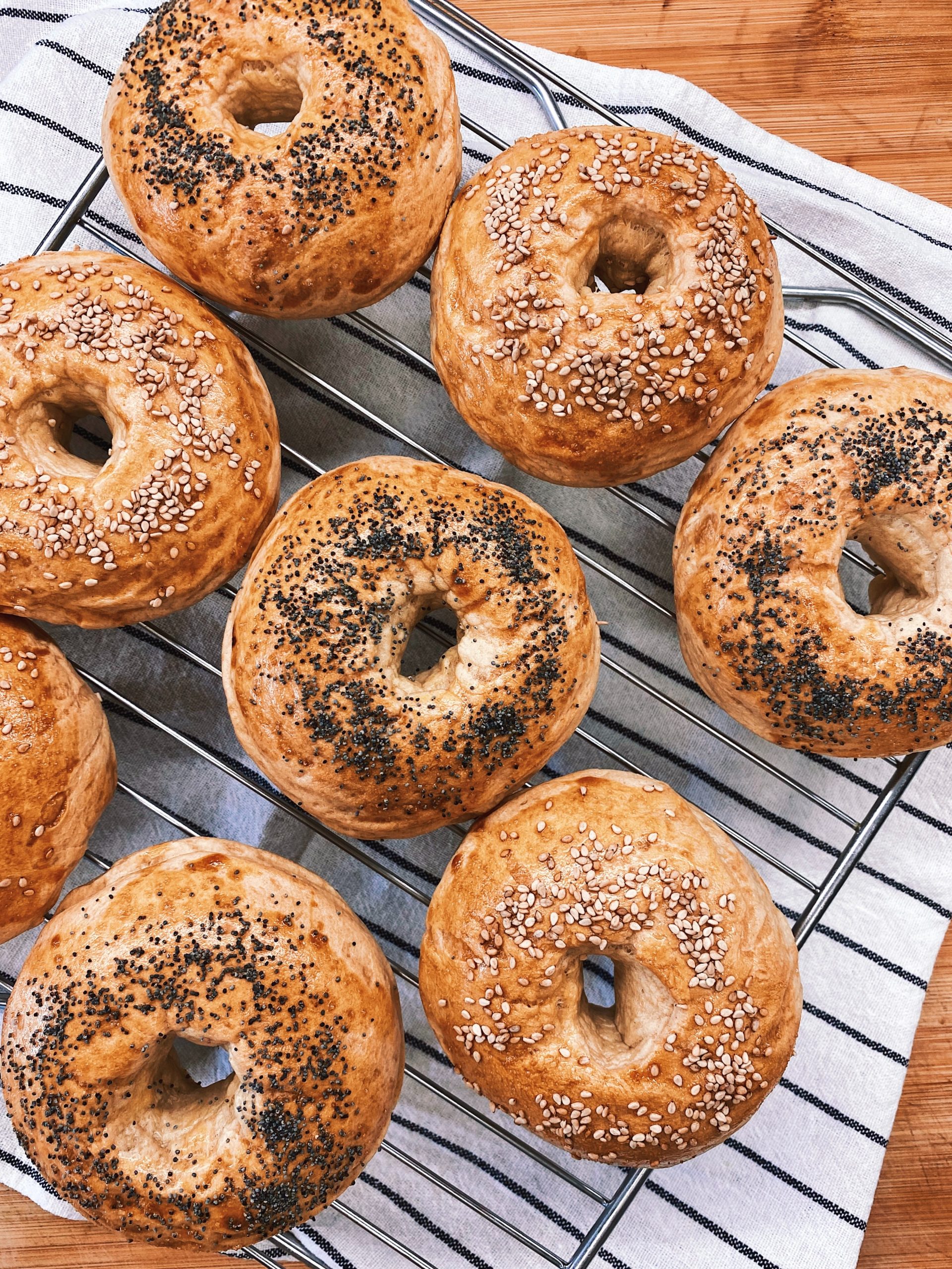 The Best Bagels in America: From New York Style to Montreal Style