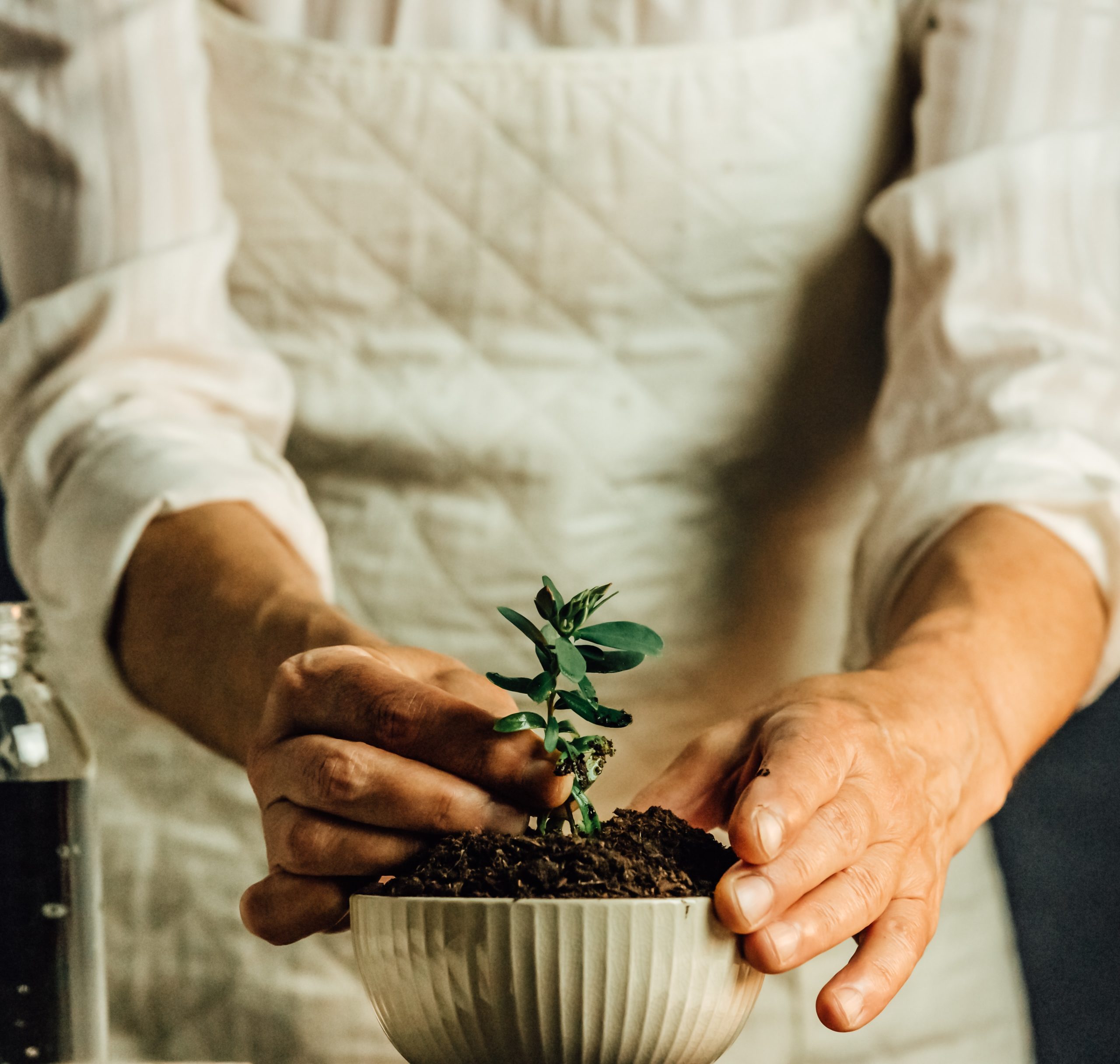 The Benefits of Composting in Your Garden