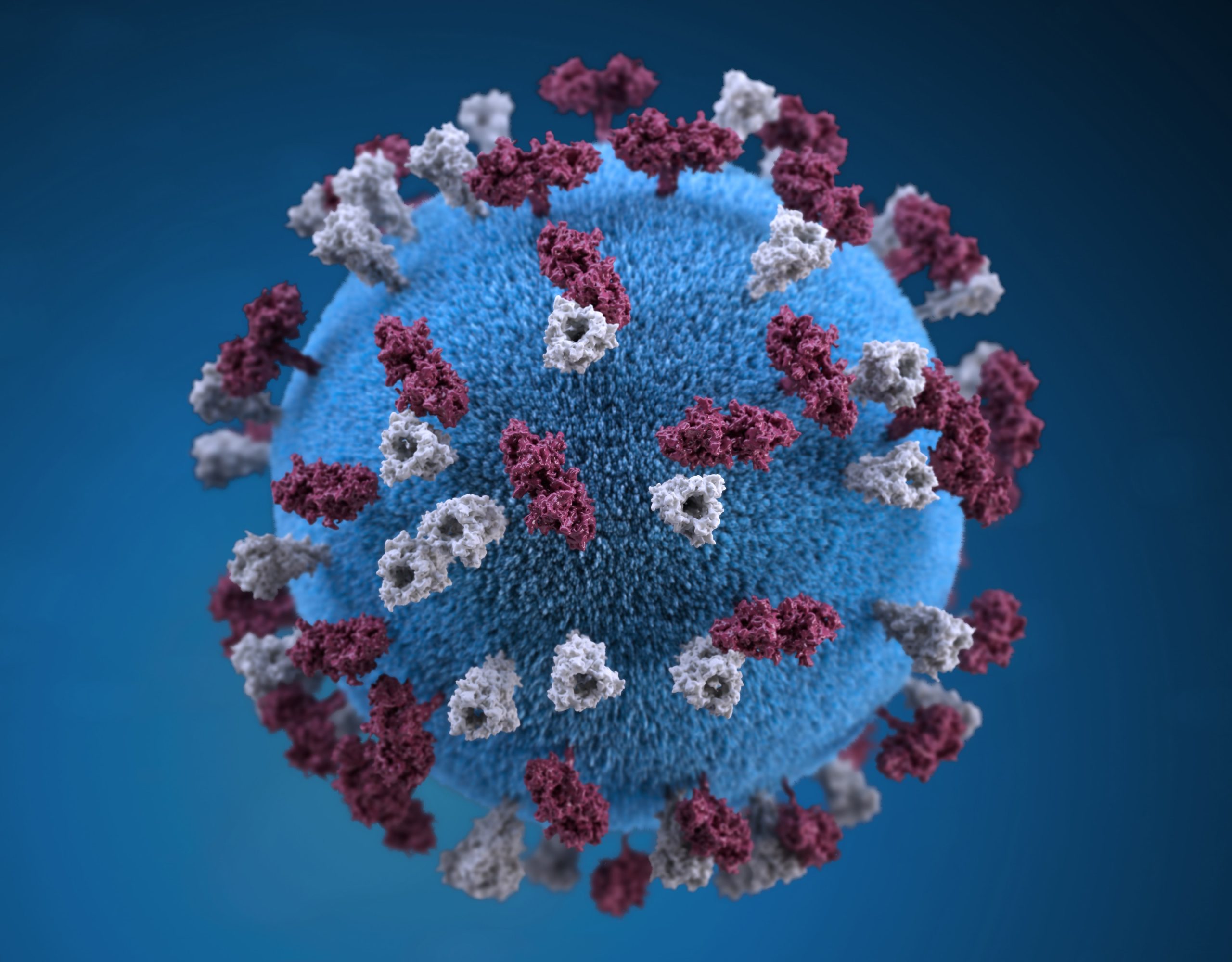 Why Herd Immunity is Crucial to Preventing Measles Spread