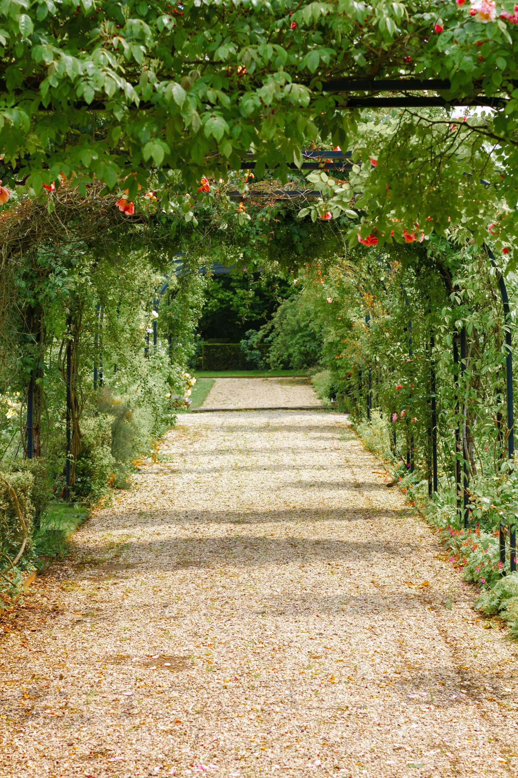 A Tapestry of Colors: Unleashing the Beauty of Foliage in Your Garden