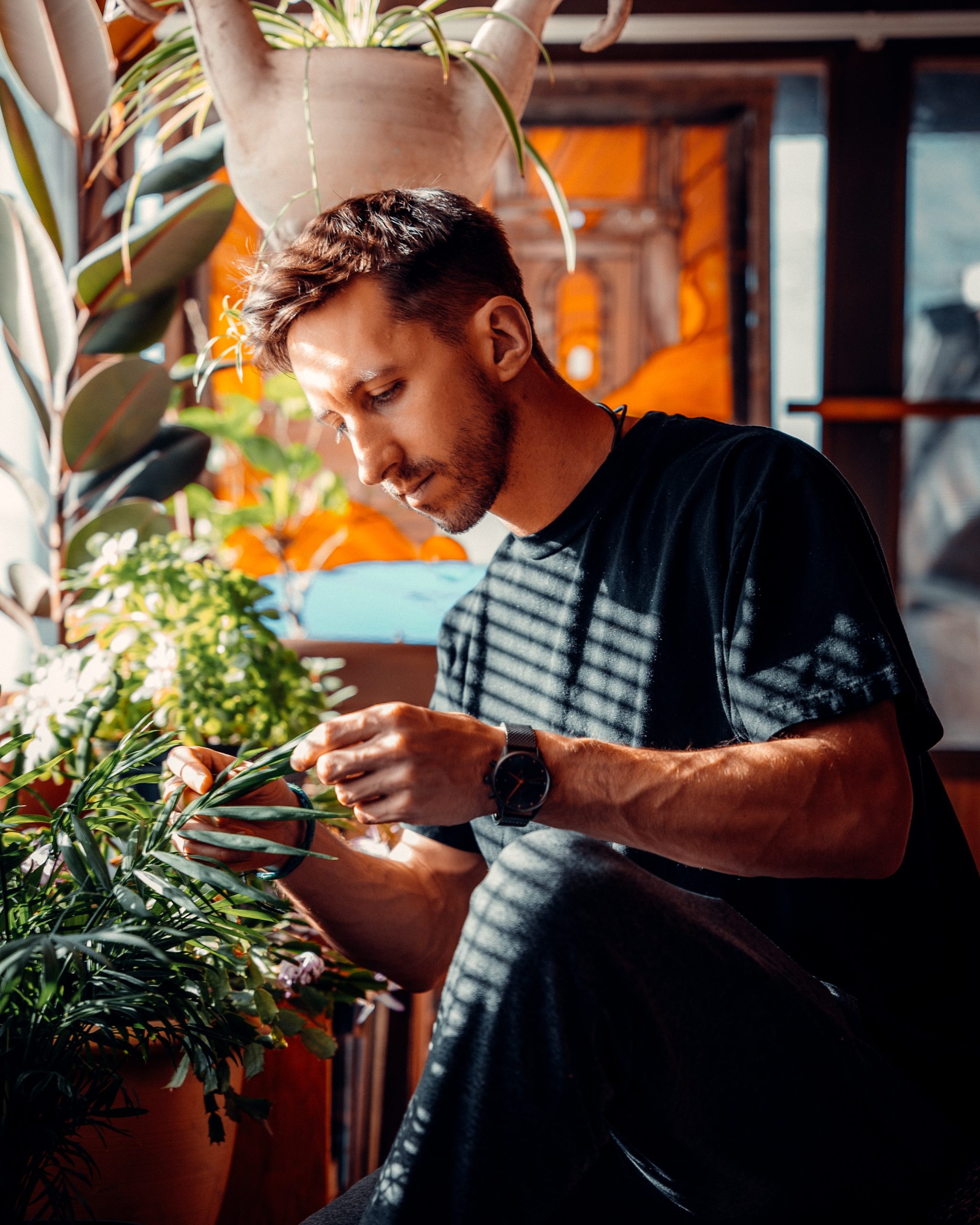 Maximizing Space in Your Greenhouse Garden: Creative Ideas for Vertical Gardening.”