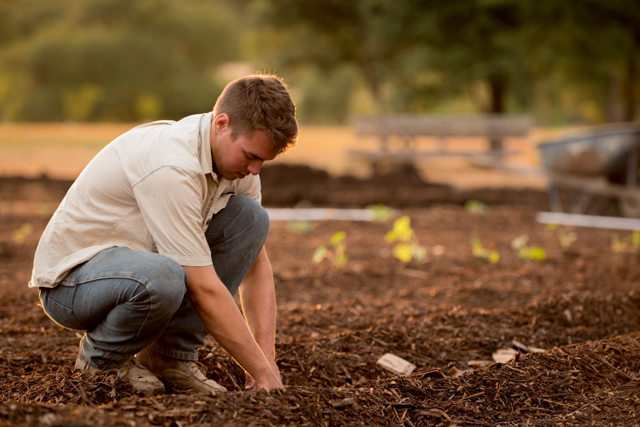 Seeds of Change: Unleashing the Power of Community Gardens for Sustainable Living