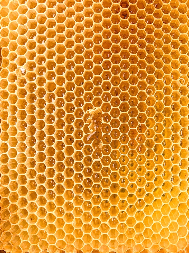 Liquid Gold Unveiled: Discover the Astonishing Health Properties of Honey