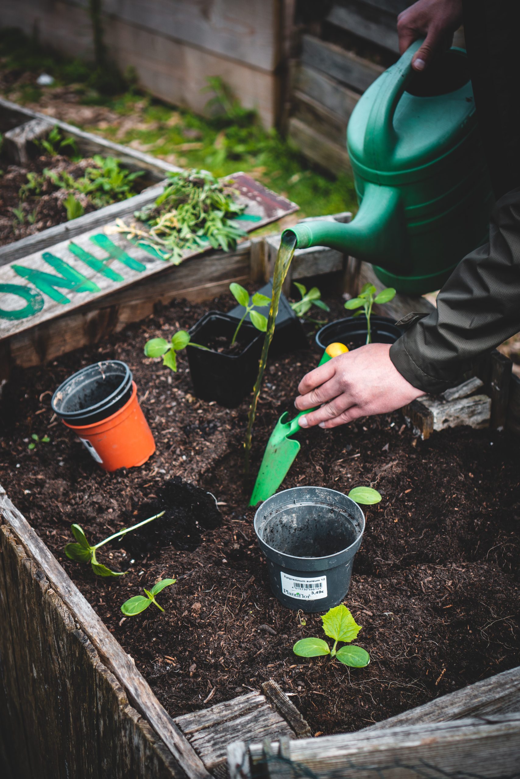 The Importance of Soil in Successful Planting