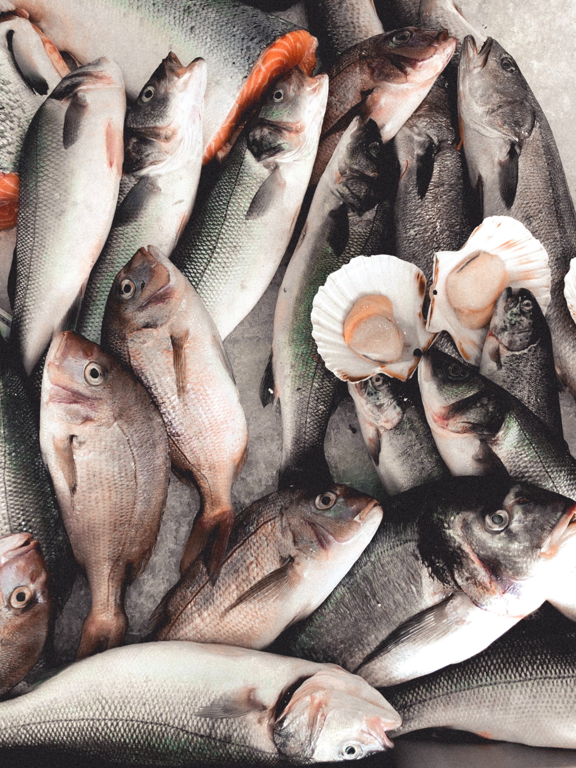 The Health Benefits of Incorporating more Seafood into your Diet