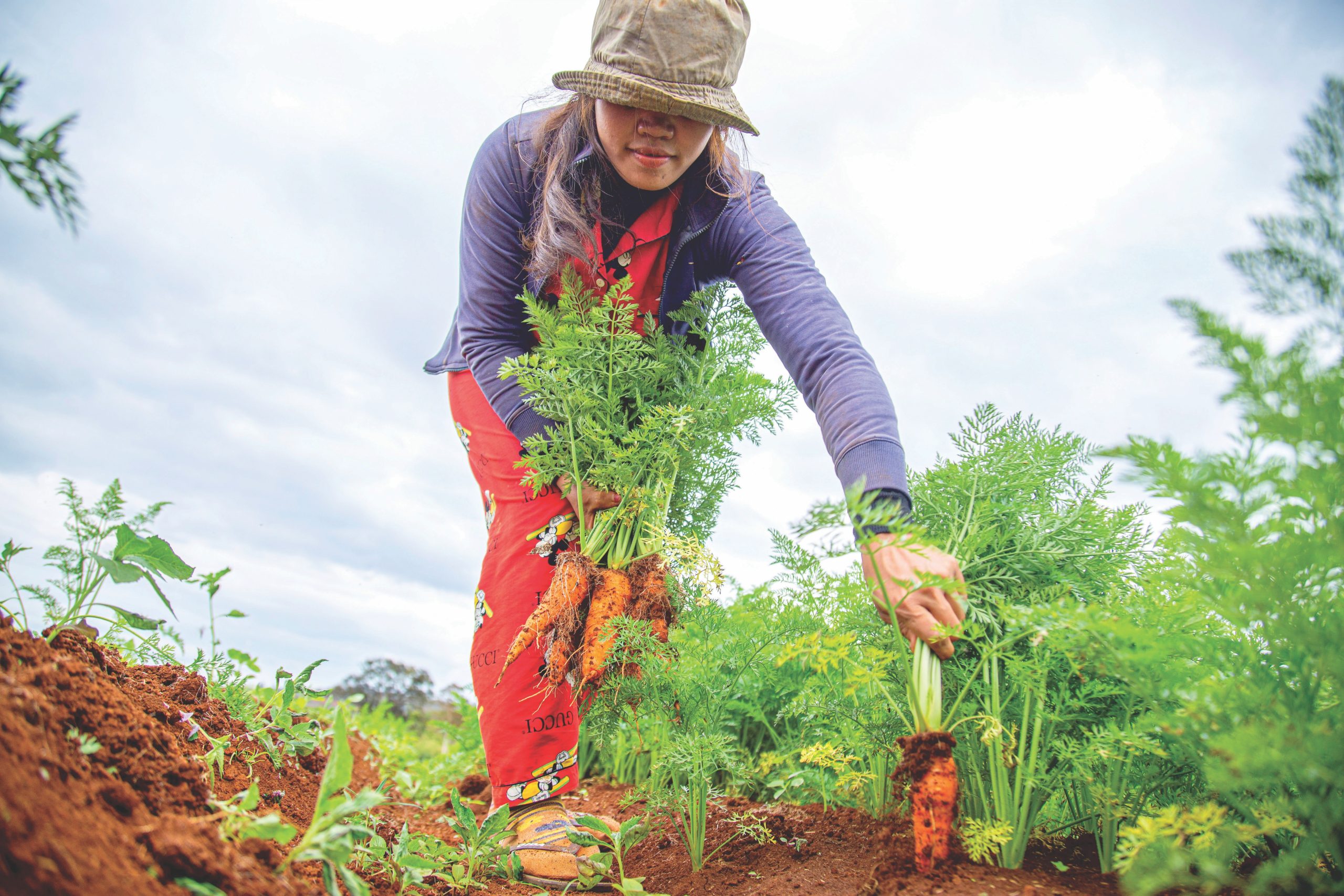 Pioneering a Greener World: Innovative Strategies for a Sustainable Future