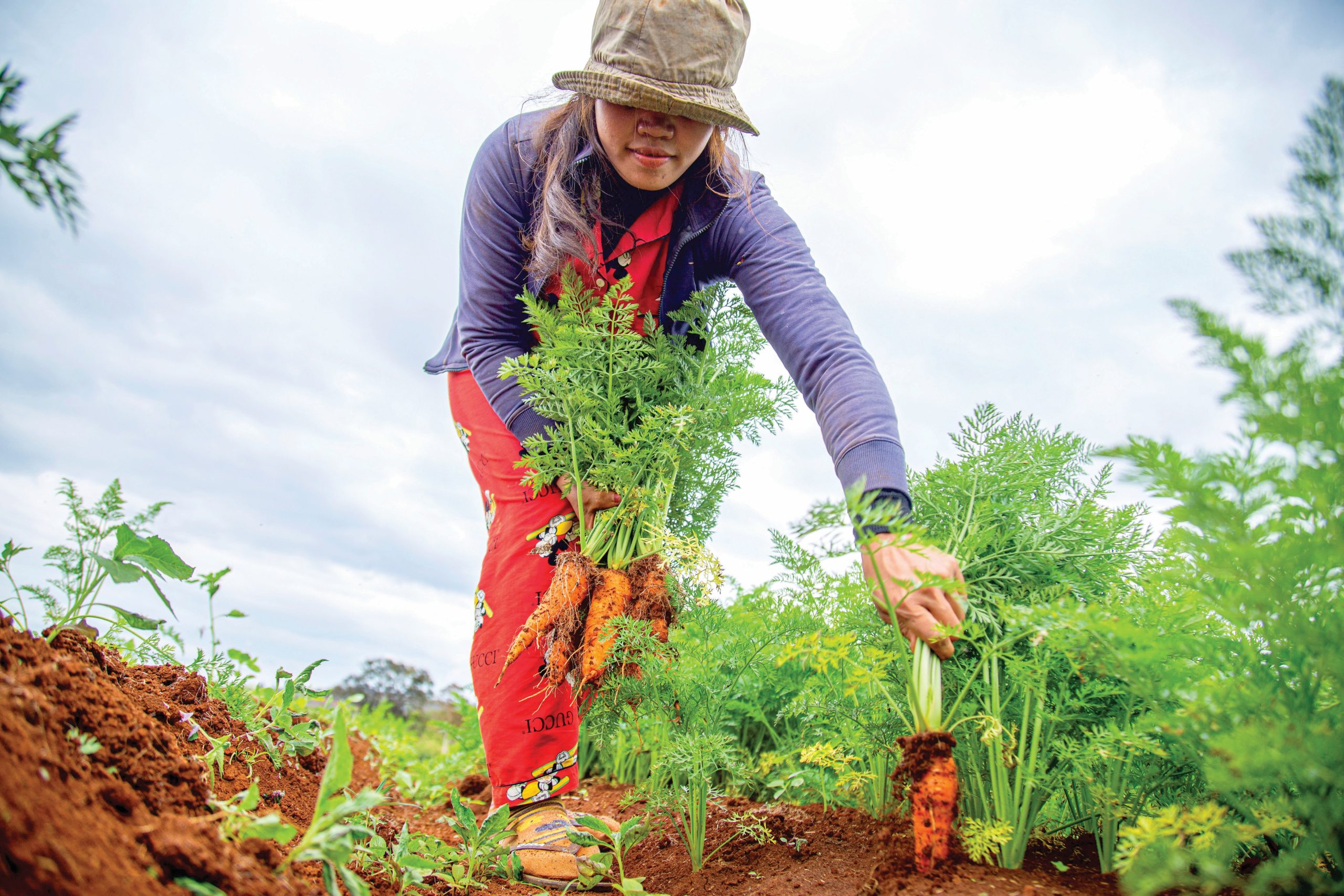 Growing Goodness: Using Your Green Thumb to Give Back to Your Community