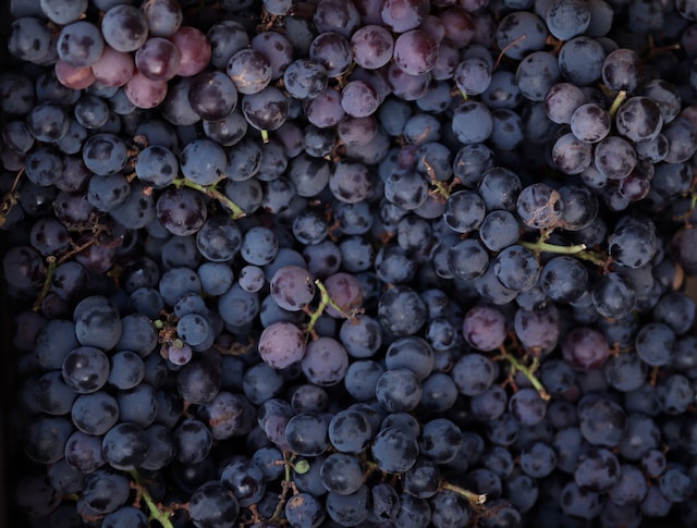 From Wine to Health: Exploring the Nutritional Value of Grapes