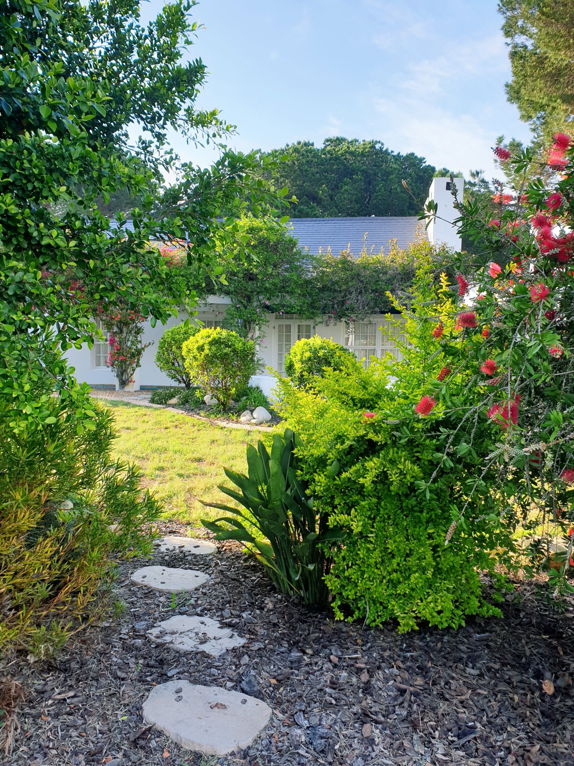 The Healing Power of Nature: Exploring the Benefits of Gardening for Mental Health