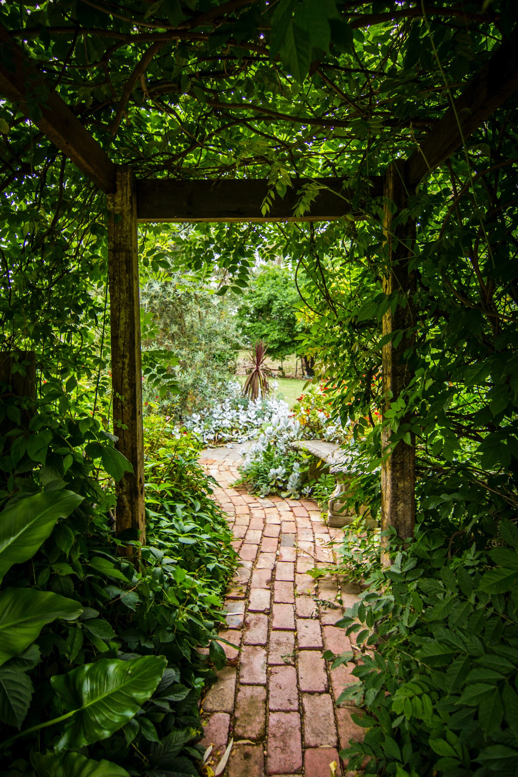 From Seed to Plate: Cultivating a Farm-to-Table Garden for Delicious Homegrown Meals