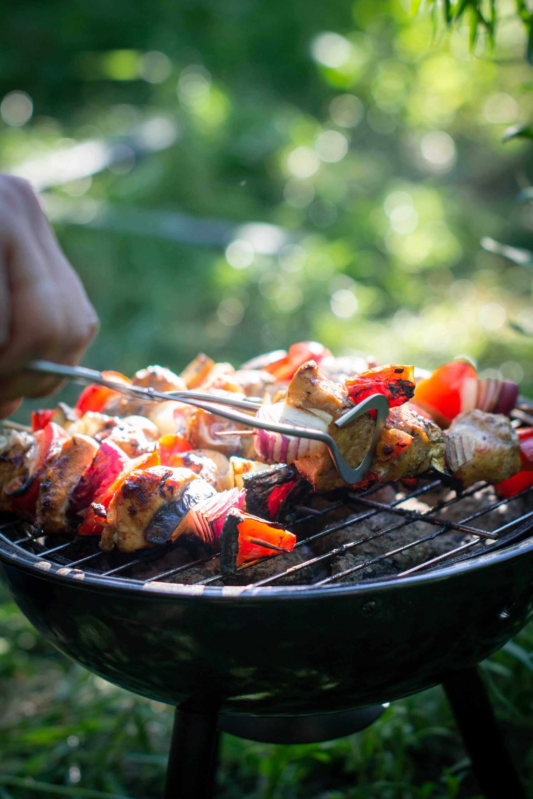 A Guide to Regional BBQ Styles: From Carolina Pulled Pork to Texas Brisket