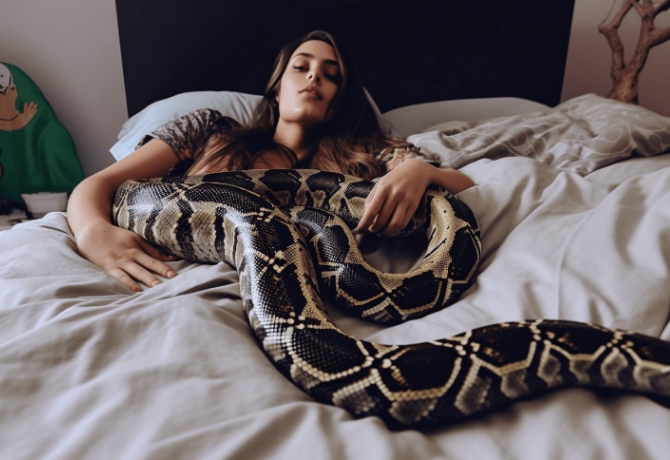 Snake in the Bed: Woman’s Shock as Vet Reveals Harrowing Truth About Sleeping with Pet Python!