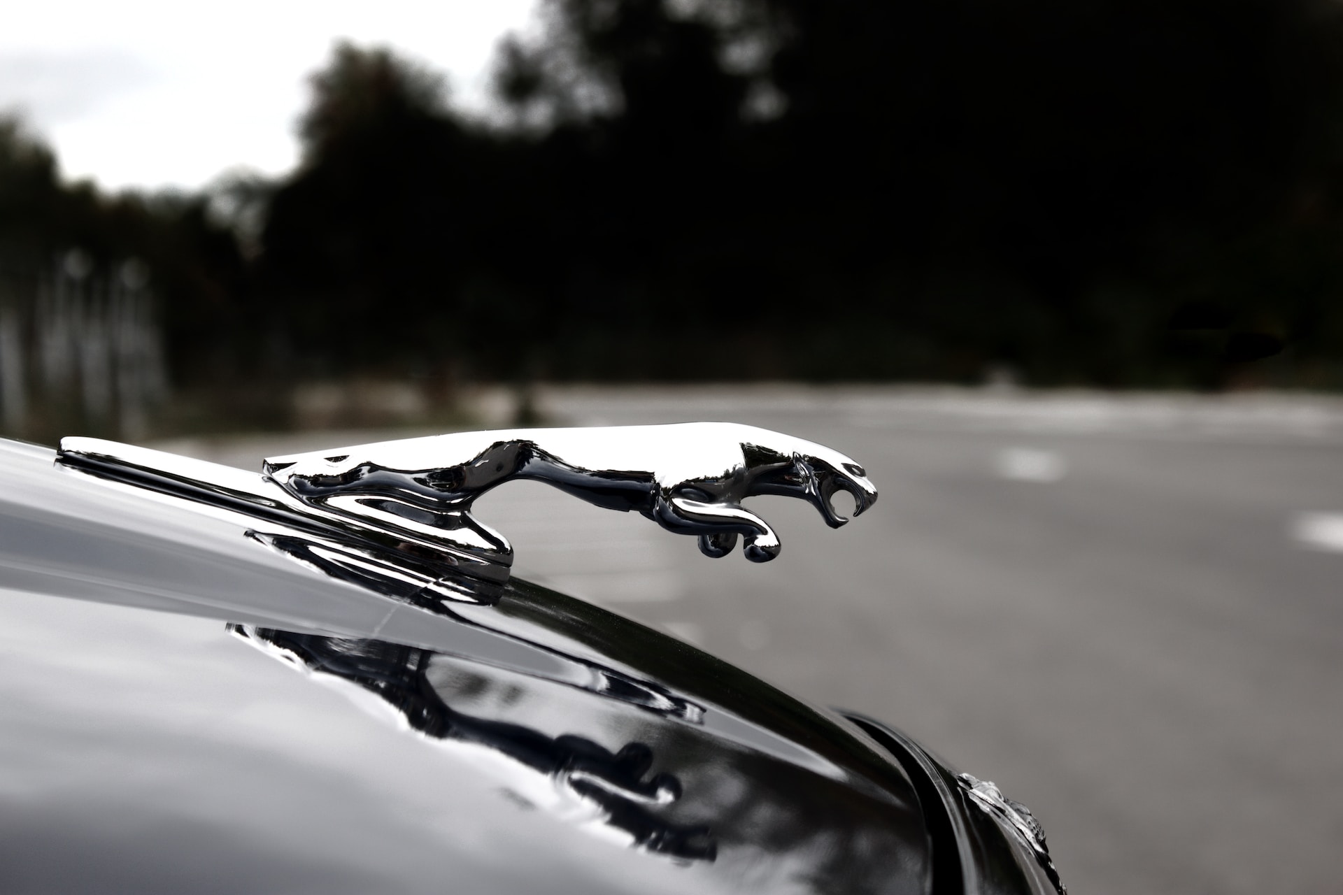 Questioning the Road Ahead: Assessing the Challenges Facing Jaguar and Analyzing the Matter