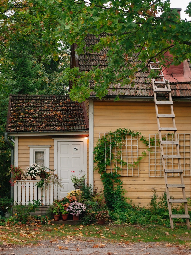 Year-Round Gardening: Strategies for Growing and Enjoying Plants in Any Season