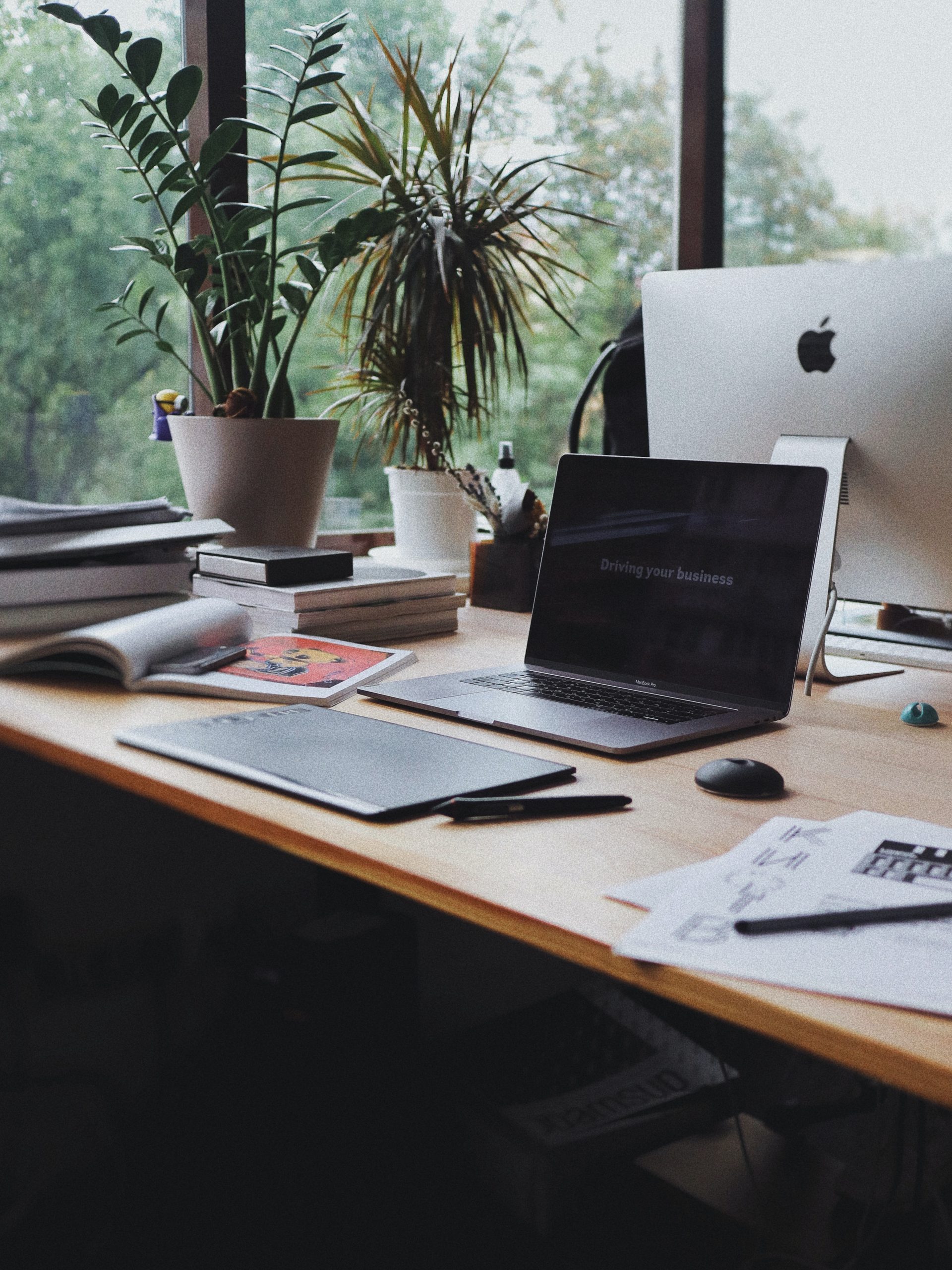 Bring Nature Indoors: The Best Plants to Transform Your Office Desk Into a Mini Oasis