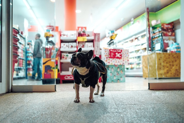 Pet Store Etiquette 101: Do’s and Don’ts of Visiting Your Local Shop