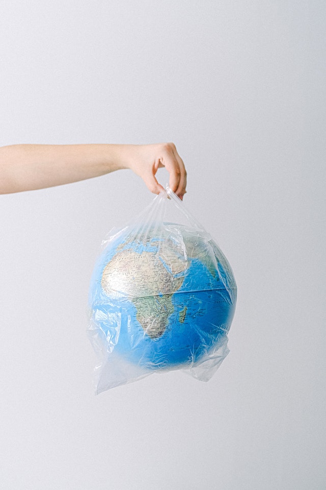 Why We Decided to Ban Plastic Bags and What It Means for Our Environment