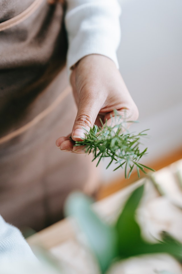 Why Ignoring this Tiny Detail in Your Gardening Routine is Draining Your Wallet