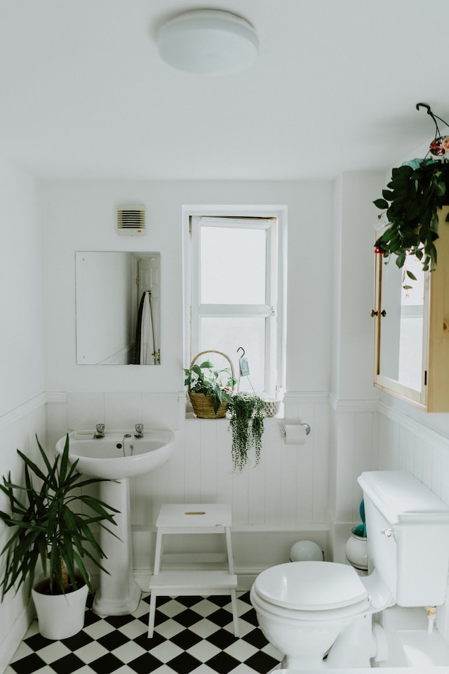 10 Reasons Why Plants in Your Bathroom are a Game Changer