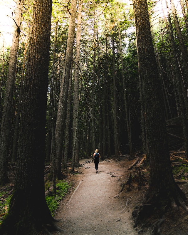 From Stress Relief to Creative Inspiration Unlocking the Secrets of Walking Meditation