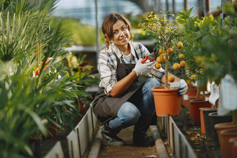 Garden Therapy: How Gardening Can Improve Mental Health and Well-Being