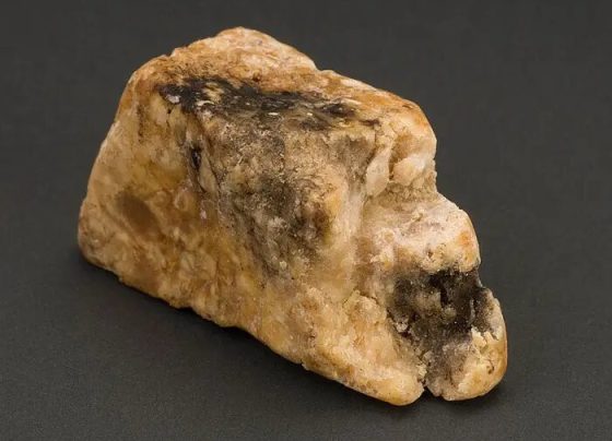 Ambergris