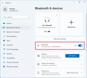 Bluetooth Audio