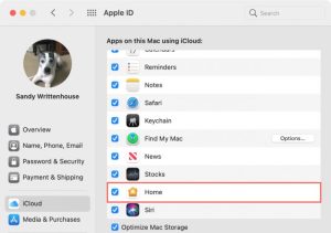 Home app on Mac