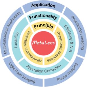  Meta Reinforcement Learning