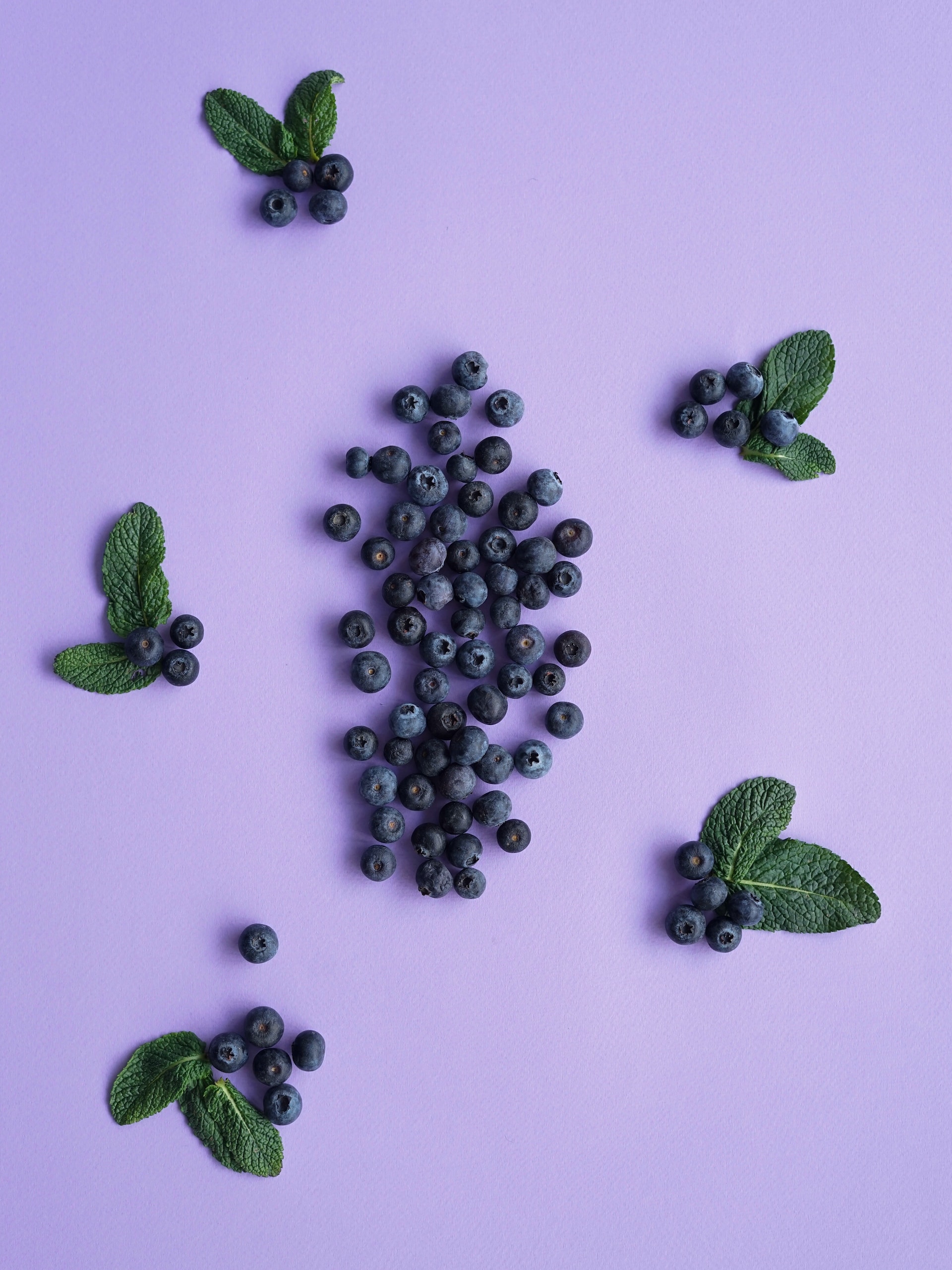 Nature’s Memory Aid: New Study Highlights Blueberries’ Cognitive Benefits