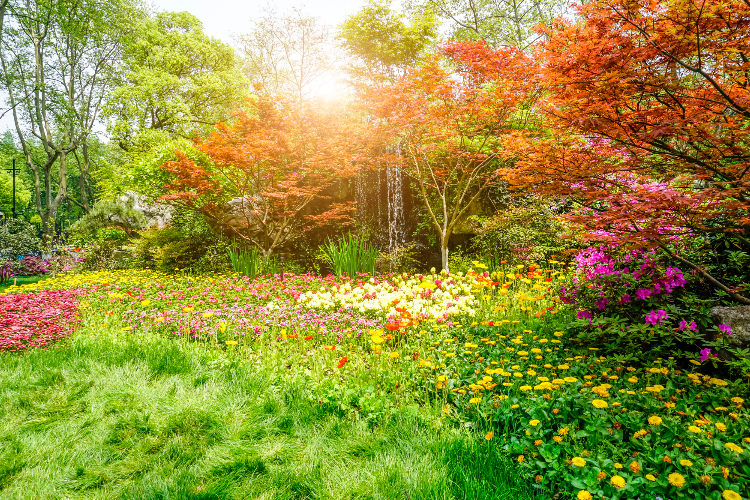 Capturing the Stunning Transformation in Garden Photography