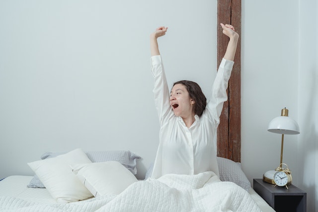 Sleep-Wealth Connection How Early Risers Achieve Success